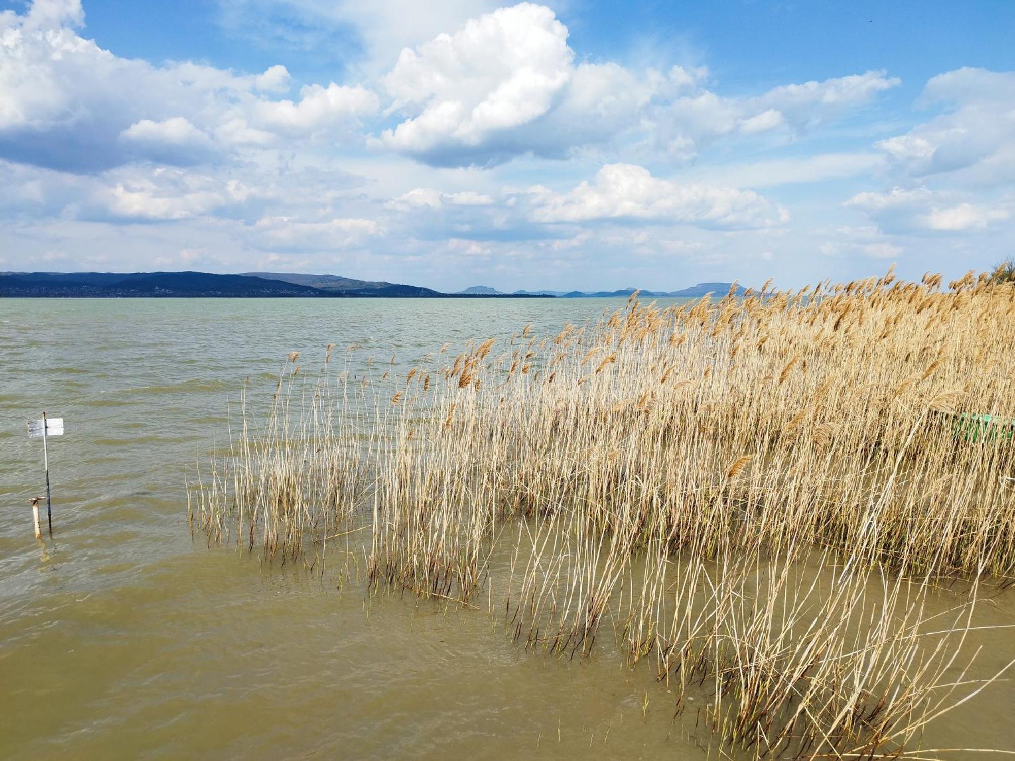 Margareta Etterem Es Vendeghaz Gasthaus Balatonberény Exterior foto